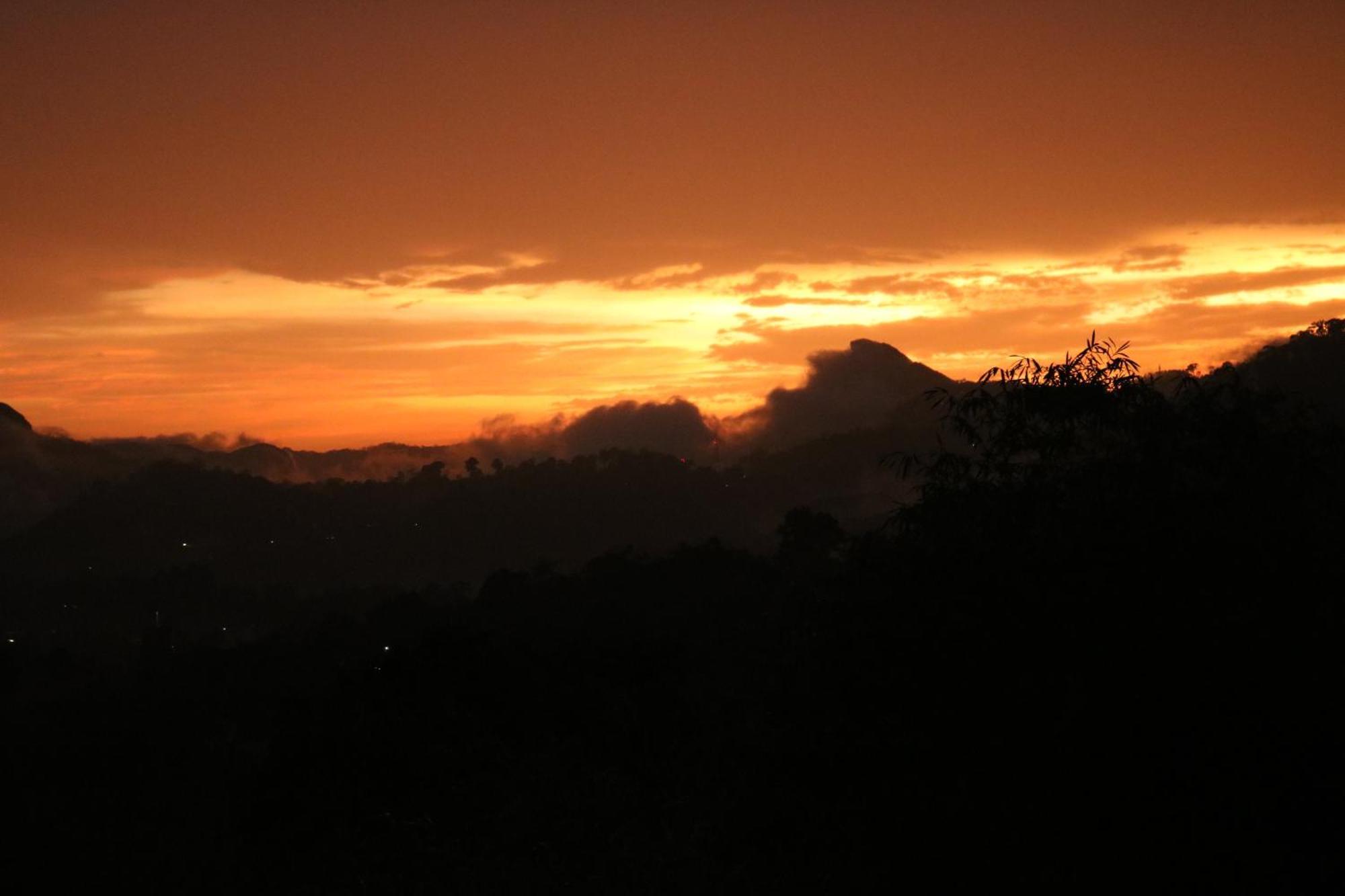 Asprin Homestay Munnar Exterior foto